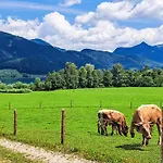 305 Bergblick By Interhome * Strobl