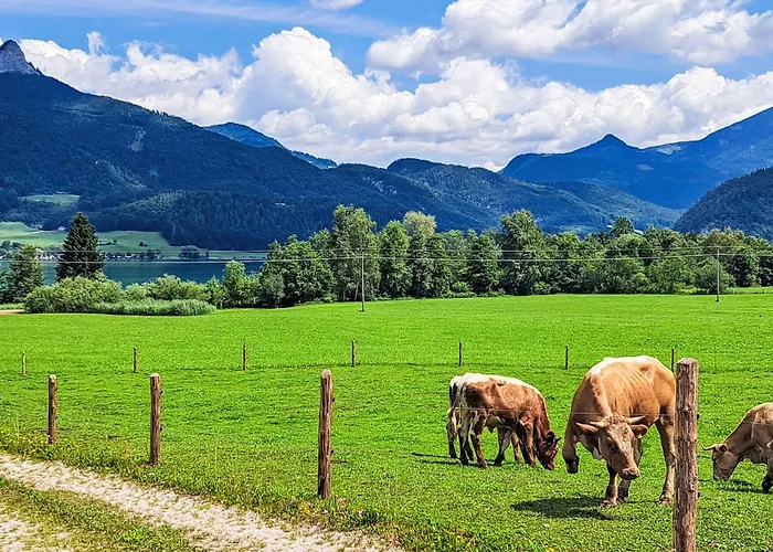 305 Bergblick By Interhome * Strobl