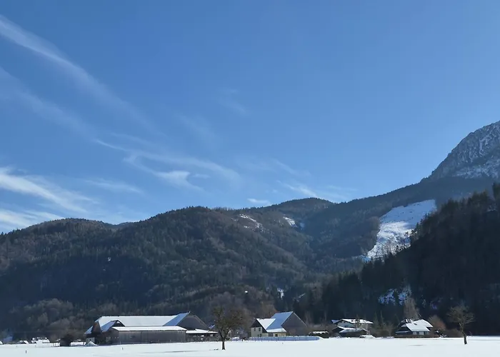 Apartamento 305 Bergblick By Interhome