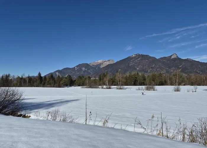 305 Bergblick By Interhome Apartamento Strobl