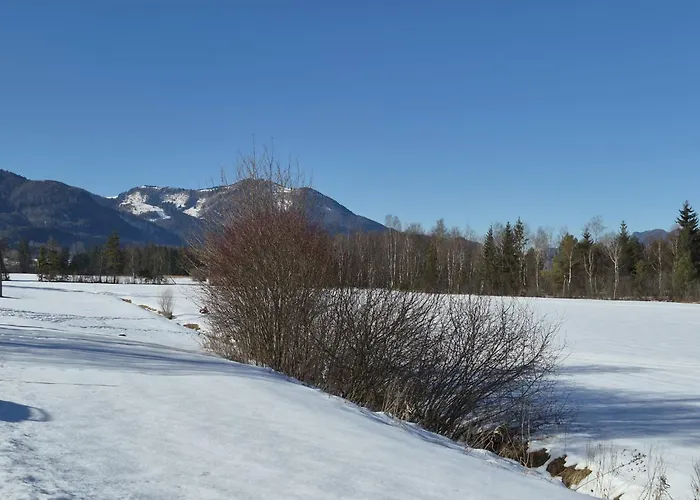 305 Bergblick By Interhome Strobl